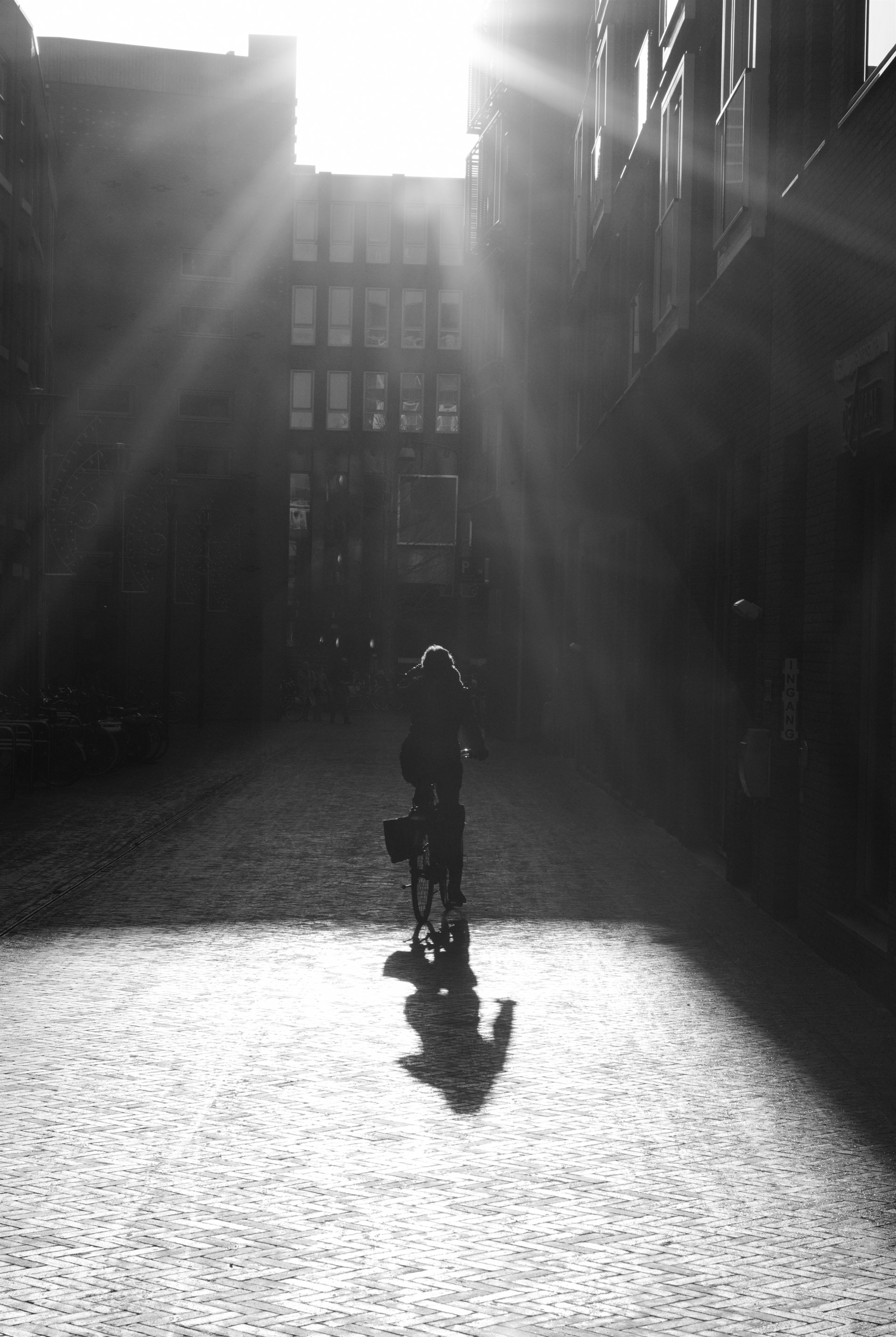 Cyclist in strong backlight and long shadow.