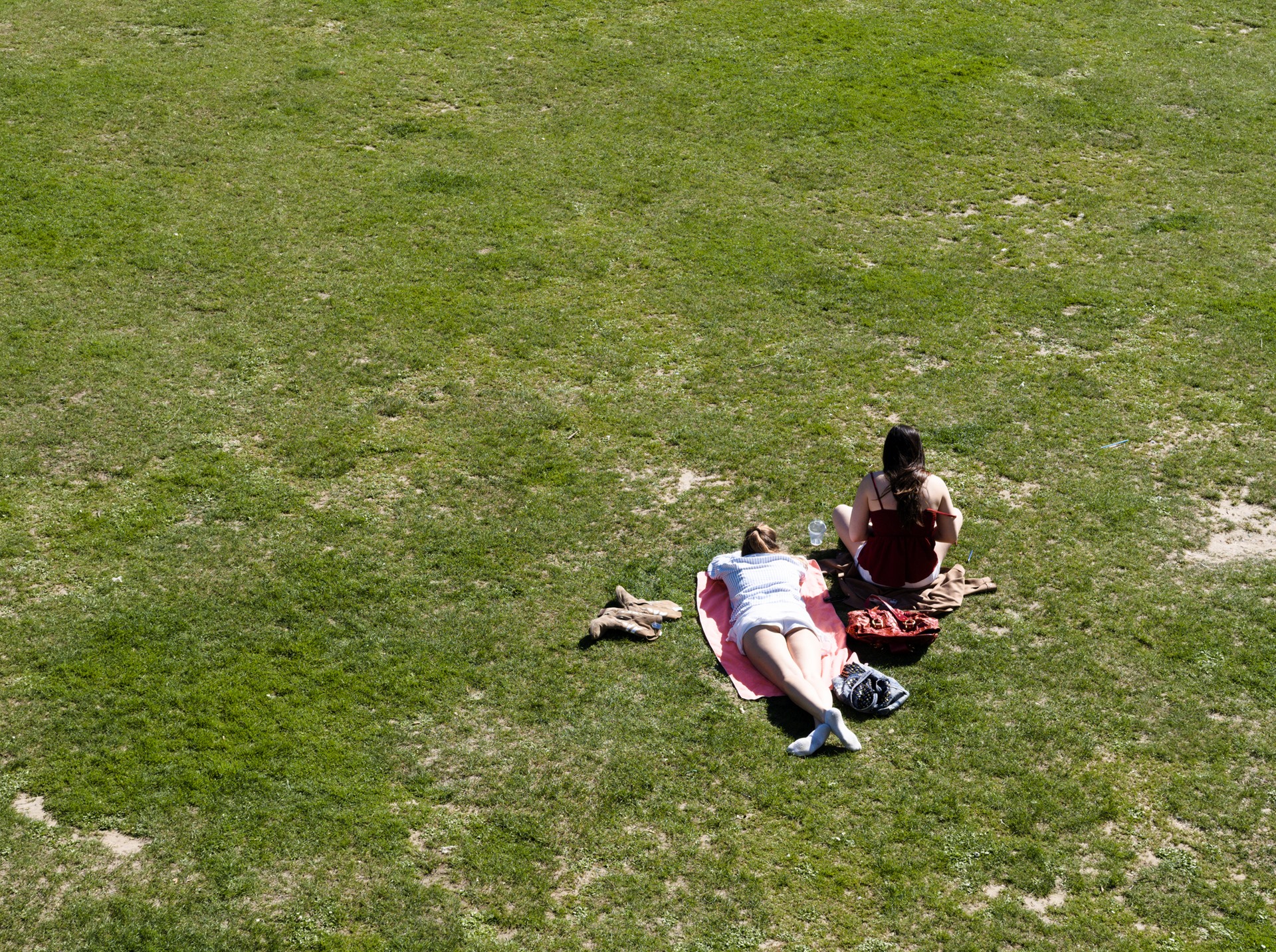 Two people lying close together in a large expanse of green grass.