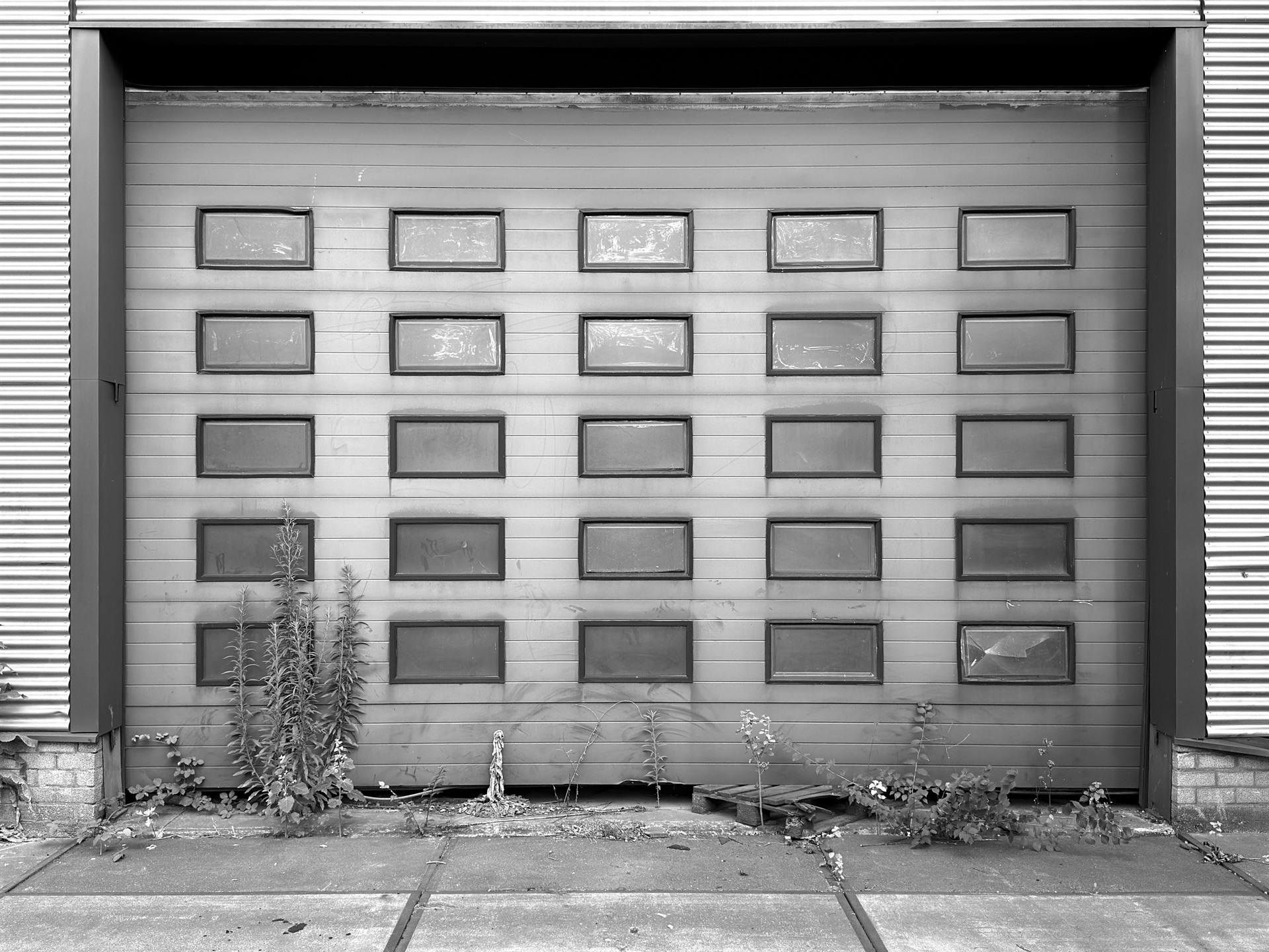 Large industrial door with rows of small rectangular windows and weeds at its base.
