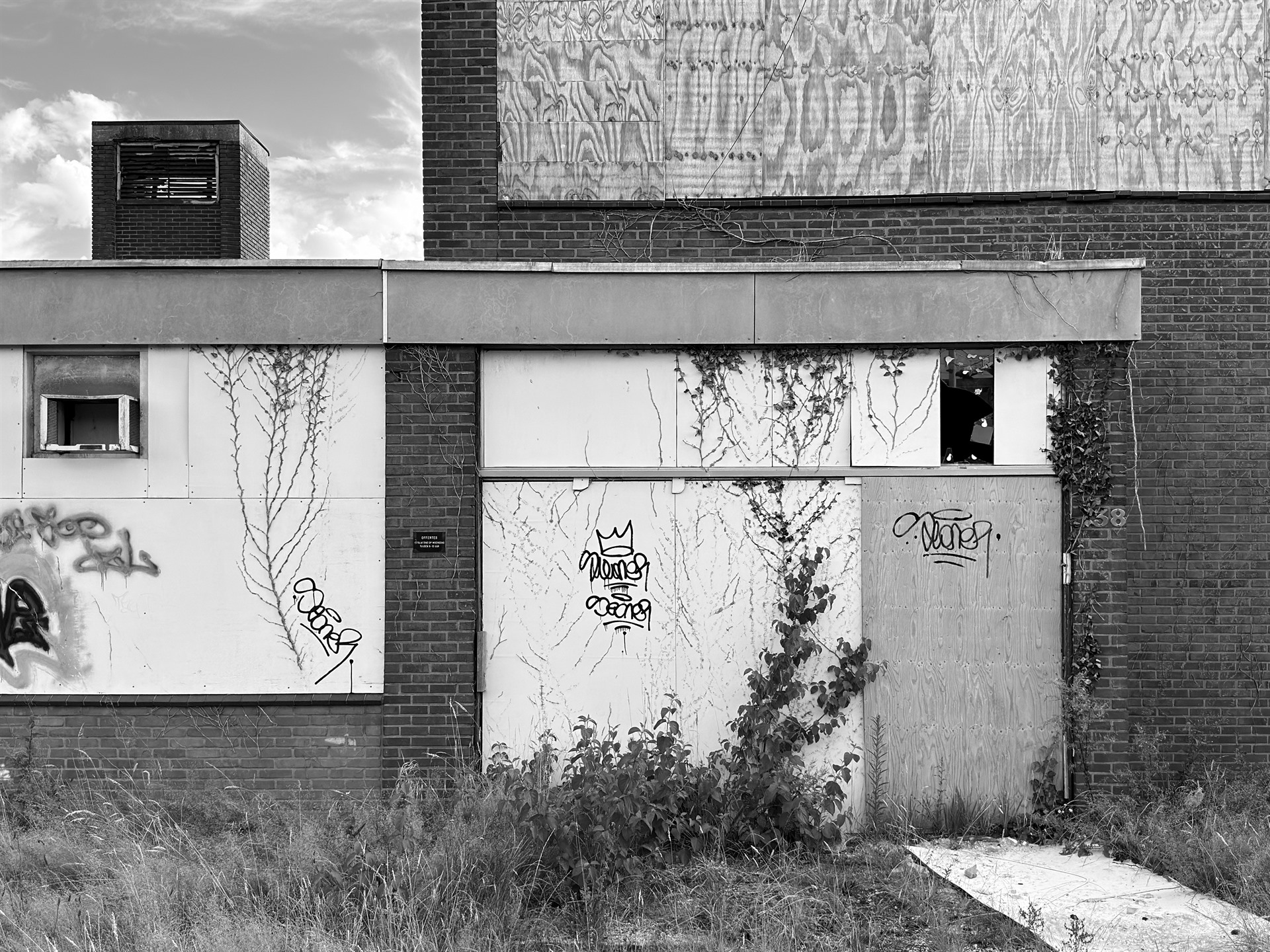 Boarded industrial facade with graffiti, climbing plants and weeds.