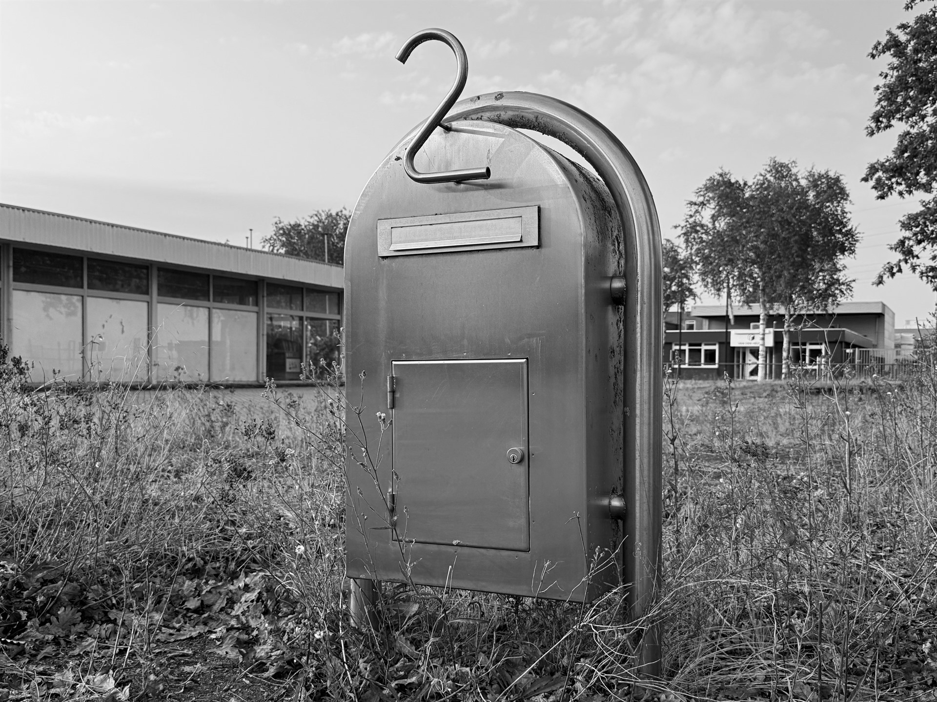Freestanding metal cabinet surrounded by weeds on an overgrown site.