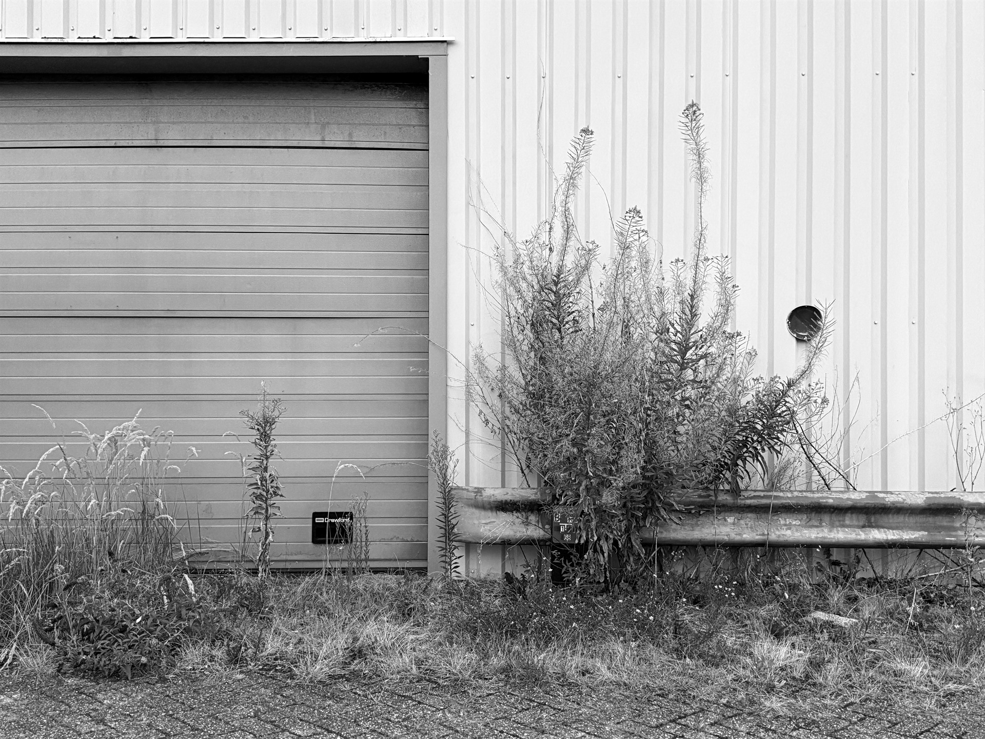 Overgrown shrubs and weeds beside a closed industrial roller door.